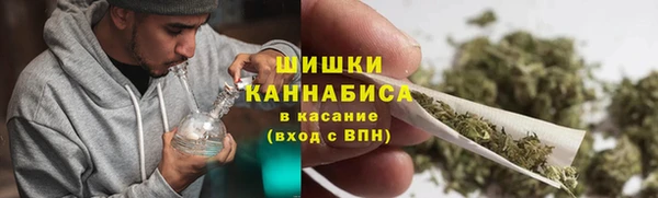 ешки Каменногорск