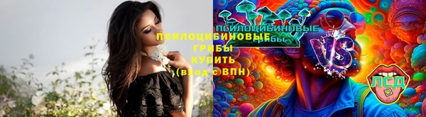 таблы Каменка