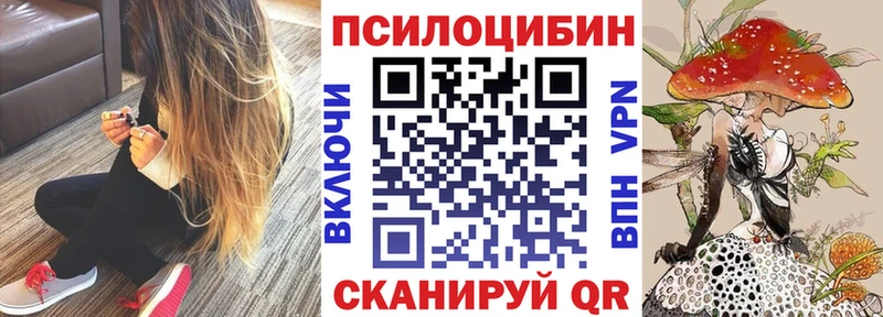 Псилоцибиновые грибы Psilocybe  Купить  Кириллов 